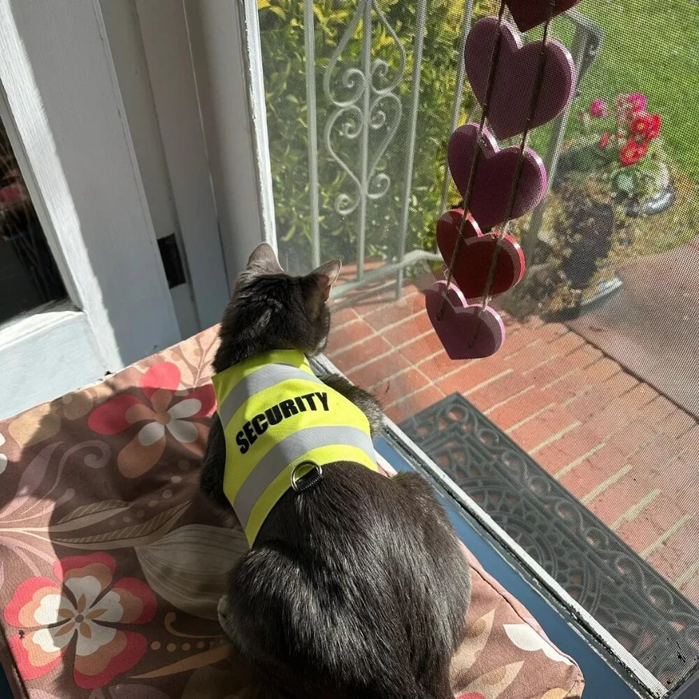 Security Vest Reflective Pet Harness Cat Dog